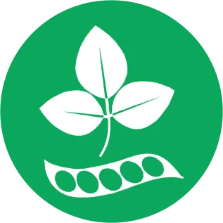 Soia e prodotti a base di soia